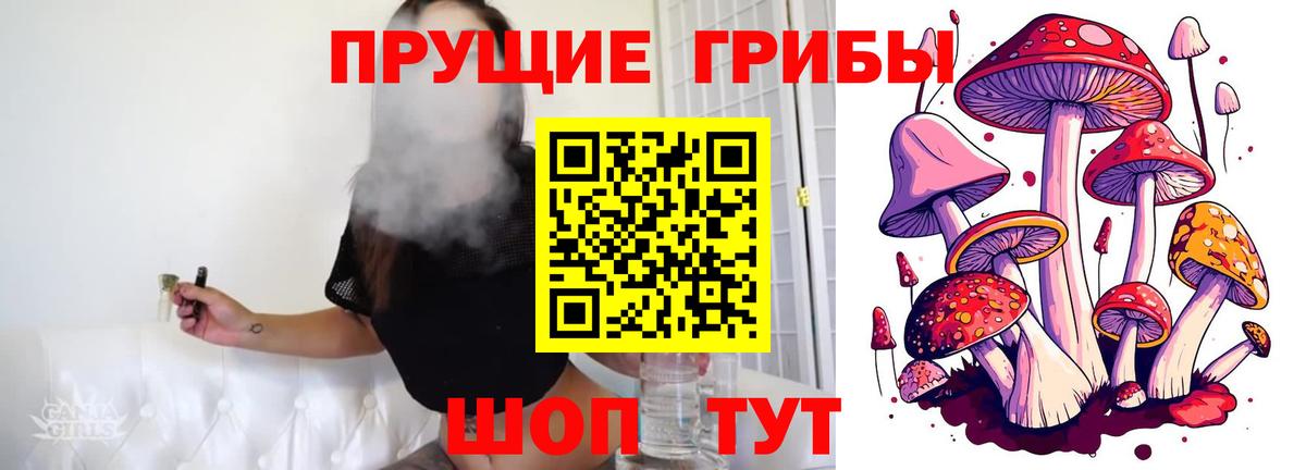 Елизово  Галлюциногенные грибы ЛСД  Вход с VPN  Галлюциногенные грибы Magic Shrooms 